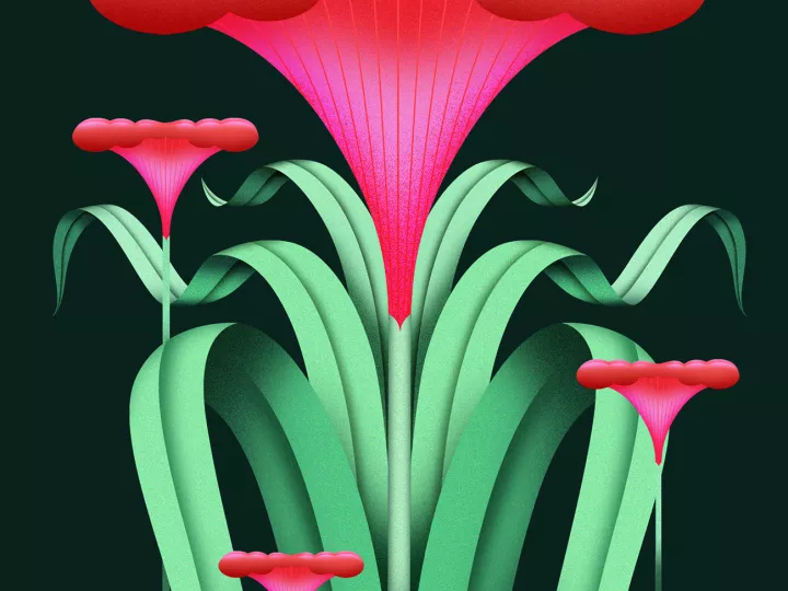flower: illustration of Vicki Turner