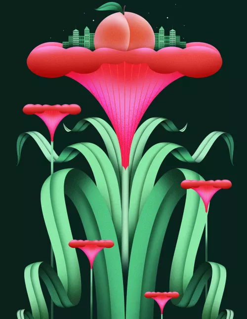flower: illustration of Vicki Turner